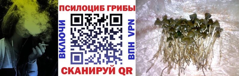 Галлюциногенные грибы мухоморы  Ершов 